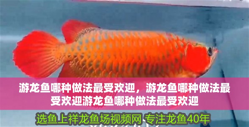 游龍魚哪種做法最受歡迎，游龍魚哪種做法最受歡迎游龍魚哪種做法最受歡迎