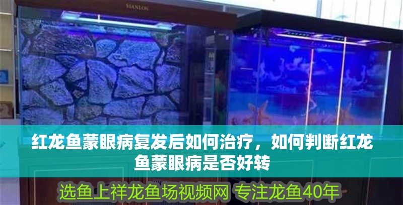 紅龍魚蒙眼病復(fù)發(fā)后如何治療，如何判斷紅龍魚蒙眼病是否好轉(zhuǎn)
