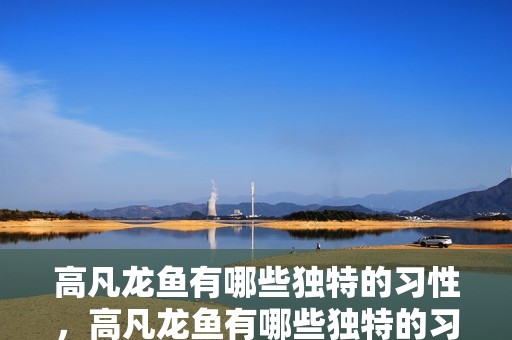 高凡龍魚(yú)有哪些獨(dú)特的習(xí)性，高凡龍魚(yú)有哪些獨(dú)特的習(xí)性，