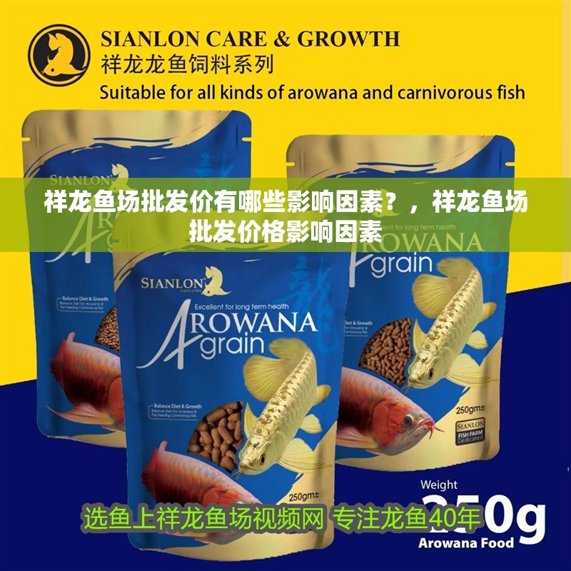 祥龍魚場批發價有哪些影響因素？，祥龍魚場批發價格影響因素