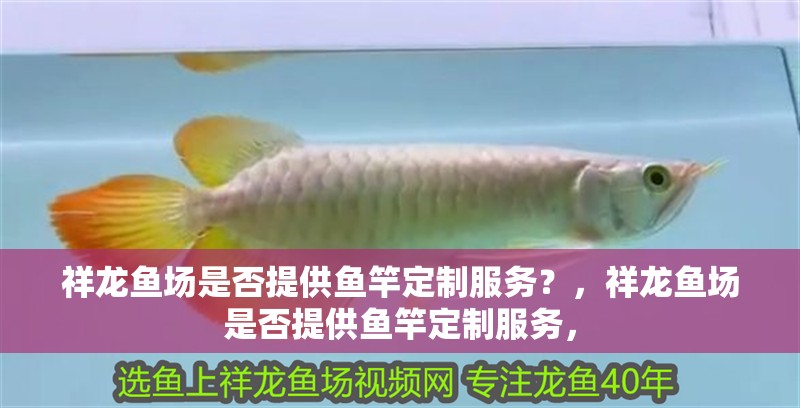 祥龍魚場是否提供魚竿定制服務(wù)？，祥龍魚場是否提供魚竿定制服務(wù)，