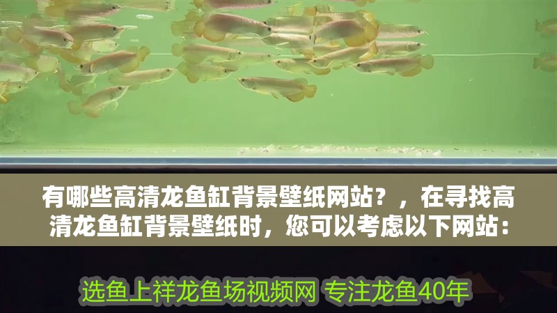 有哪些高清龍魚(yú)缸背景壁紙網(wǎng)站？，在尋找高清龍魚(yú)缸背景壁紙時(shí)，您可以考慮以下網(wǎng)站：