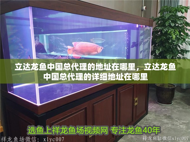 立達(dá)龍魚中國(guó)總代理的地址在哪里，立達(dá)龍魚中國(guó)總代理的詳細(xì)地址在哪里