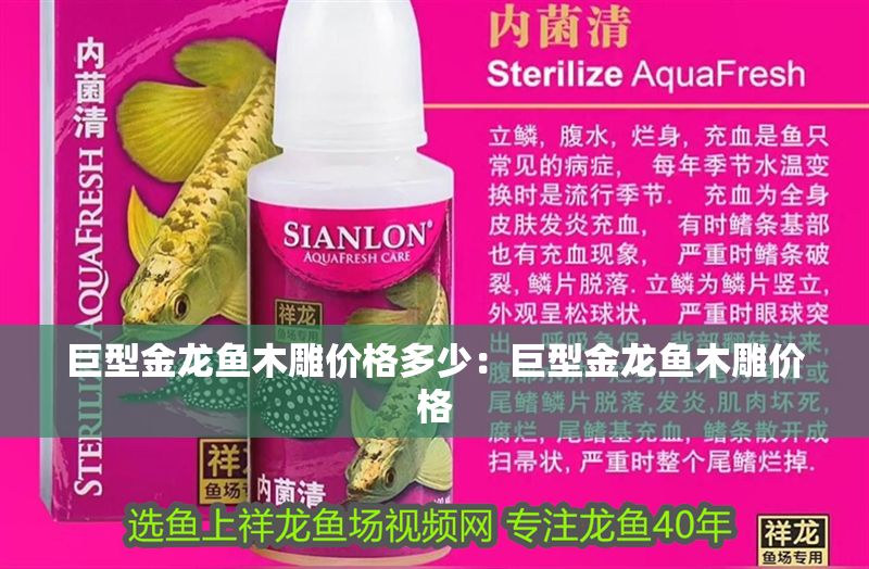 巨型金龍魚木雕價(jià)格多少：巨型金龍魚木雕價(jià)格