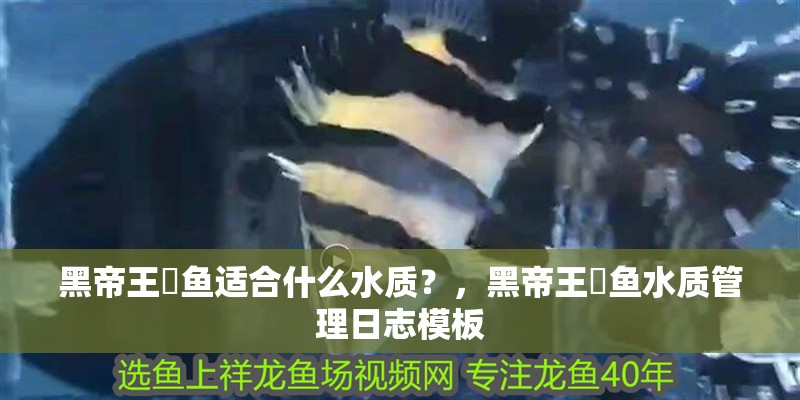 黑帝王魟魚適合什么水質？，黑帝王魟魚水質管理日志模板
