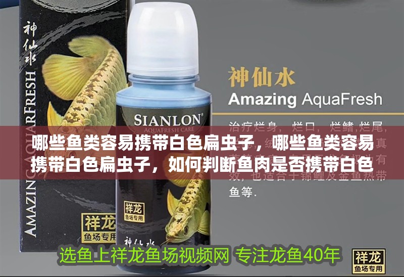 哪些魚類容易攜帶白色扁蟲子，哪些魚類容易攜帶白色扁蟲子，如何判斷魚肉是否攜帶白色扁蟲子