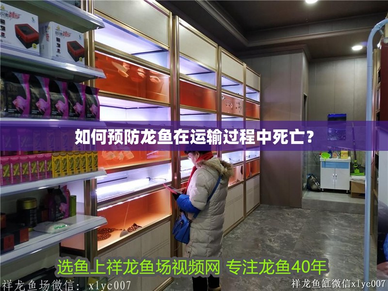 如何預(yù)防龍魚(yú)在運(yùn)輸過(guò)程中死亡？