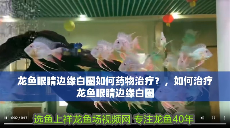 龍魚(yú)眼睛邊緣白圈如何藥物治療？，如何治療龍魚(yú)眼睛邊緣白圈