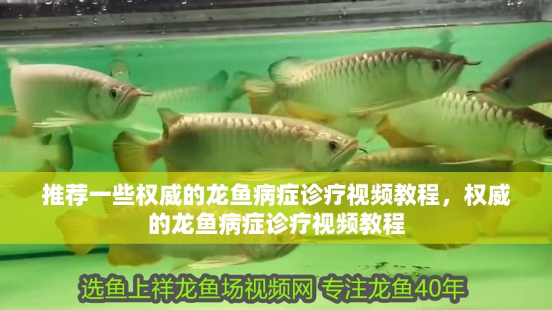 推薦一些權威的龍魚病癥診療視頻教程，權威的龍魚病癥診療視頻教程
