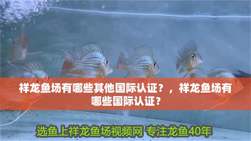 祥龍魚場有哪些其他國際認證？，祥龍魚場有哪些國際認證？