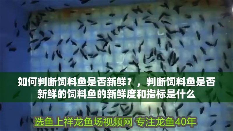 如何判斷飼料魚是否新鮮？，判斷飼料魚是否新鮮的飼料魚的新鮮度和指標(biāo)是什么