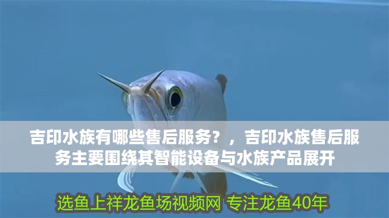 吉印水族有哪些售后服務(wù)？，吉印水族售后服務(wù)主要圍繞其智能設(shè)備與水族產(chǎn)品展開