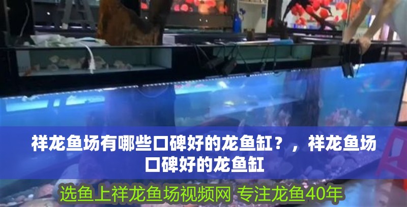 祥龍魚(yú)場(chǎng)有哪些口碑好的龍魚(yú)缸？，祥龍魚(yú)場(chǎng)口碑好的龍魚(yú)缸