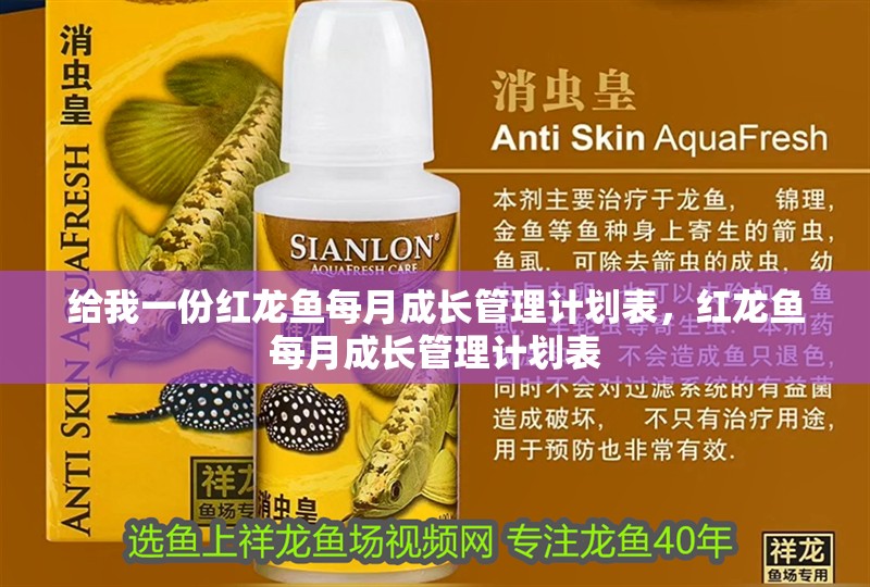 給我一份紅龍魚每月成長管理計劃表，紅龍魚每月成長管理計劃表