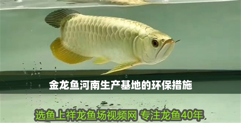 金龍魚河南生產(chǎn)基地的環(huán)保措施