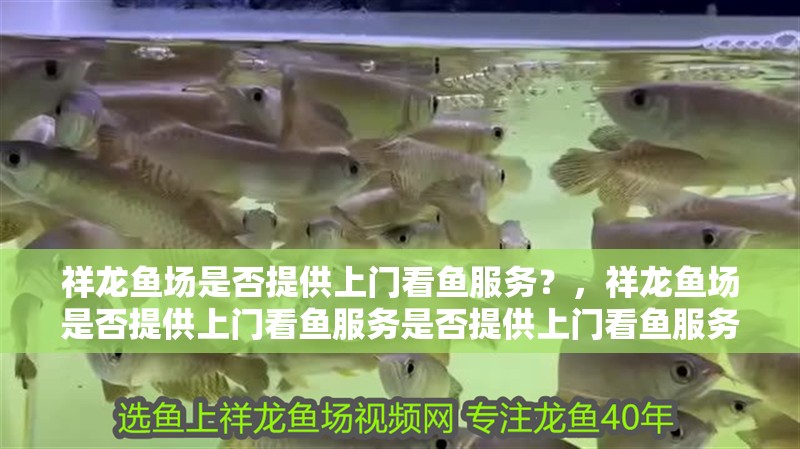 祥龍魚場是否提供上門看魚服務？，祥龍魚場是否提供上門看魚服務是否提供上門看魚服務