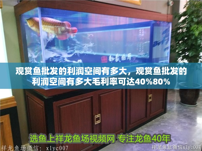 觀賞魚批發的利潤空間有多大，觀賞魚批發的利潤空間有多大毛利率可達40%80%
