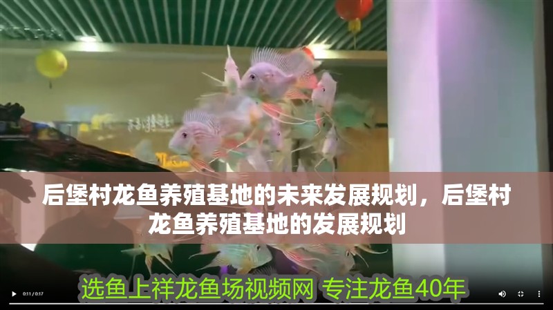 后堡村龍魚養殖基地的未來發展規劃，后堡村龍魚養殖基地的發展規劃