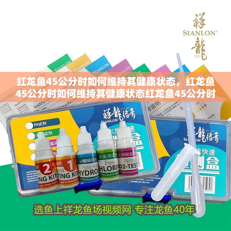 紅龍魚45公分時如何維持其健康狀態(tài)，紅龍魚45公分時如何維持其健康狀態(tài)紅龍魚45公分時如何發(fā)色更佳