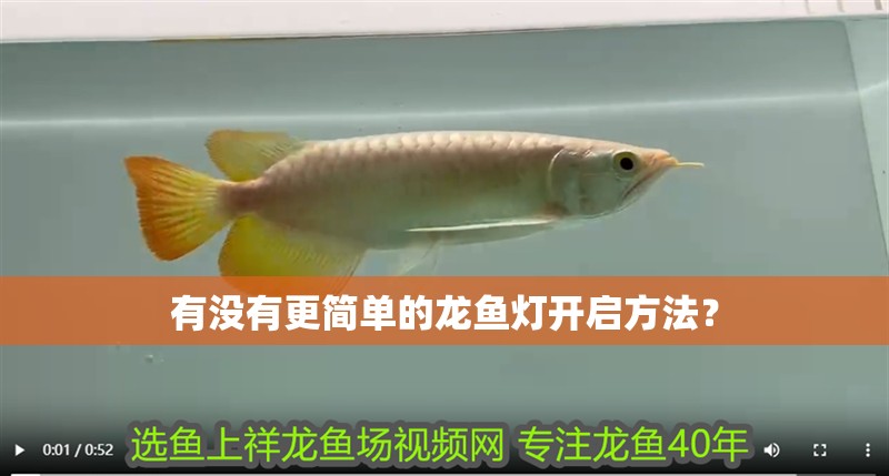 有沒有更簡單的龍魚燈開啟方法？
