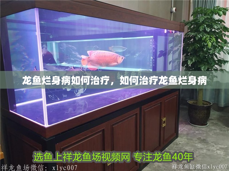 龍魚(yú)爛身病如何治療，如何治療龍魚(yú)爛身病