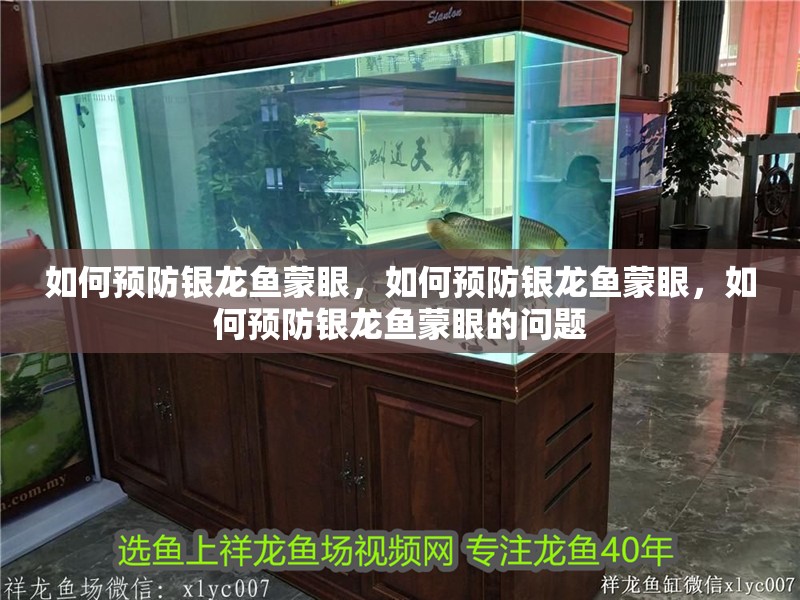 如何預防銀龍魚蒙眼，如何預防銀龍魚蒙眼，如何預防銀龍魚蒙眼的問題