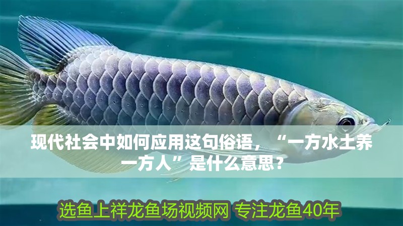 現代社會中如何應用這句俗語，“一方水土養一方人”是什么意思？