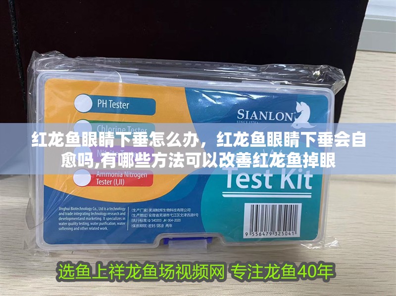 紅龍魚眼睛下垂怎么辦，紅龍魚眼睛下垂會自愈嗎,有哪些方法可以改善紅龍魚掉眼