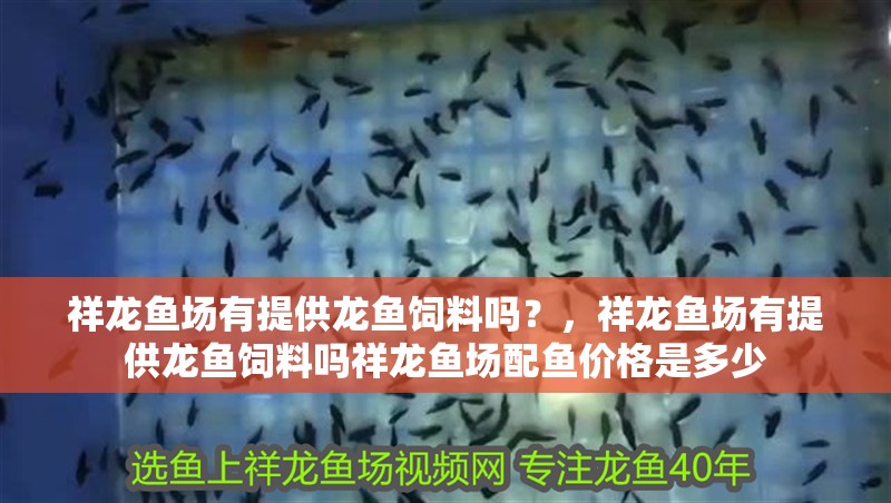祥龍魚場有提供龍魚飼料嗎？，祥龍魚場有提供龍魚飼料嗎祥龍魚場配魚價格是多少
