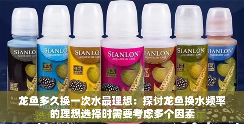 龍魚(yú)多久換一次水最理想：探討龍魚(yú)換水頻率的理想選擇時(shí)需要考慮多個(gè)因素