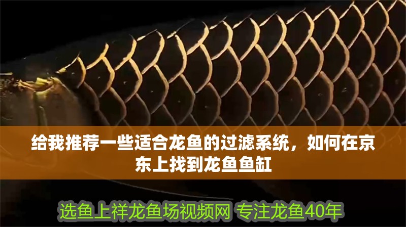 給我推薦一些適合龍魚的過濾系統，如何在京東上找到龍魚魚缸