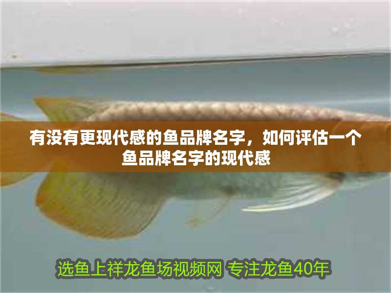有沒有更現代感的魚品牌名字，如何評估一個魚品牌名字的現代感