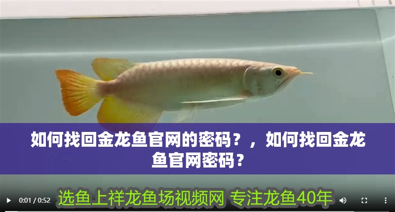 如何找回金龍魚官網的密碼？，如何找回金龍魚官網密碼？