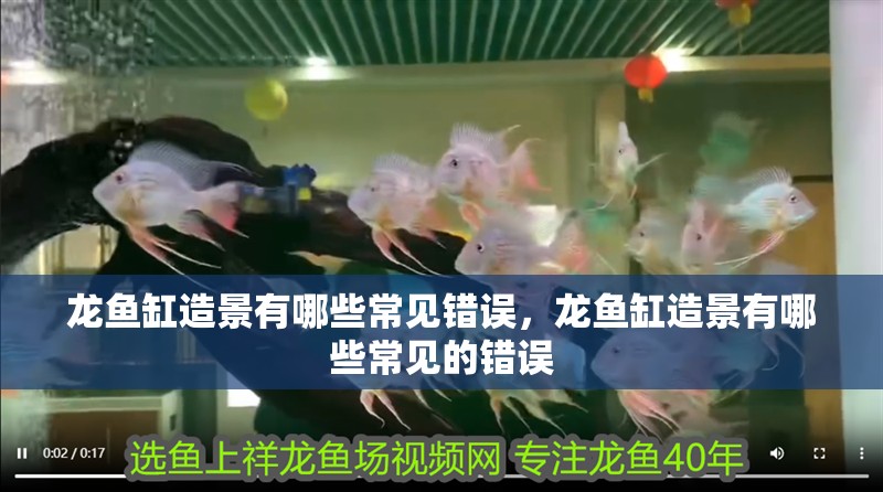 龍魚缸造景有哪些常見錯誤，龍魚缸造景有哪些常見的錯誤