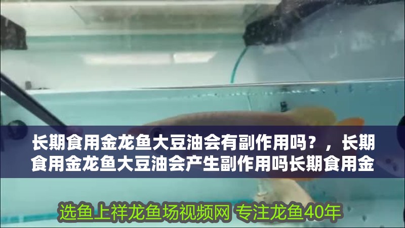 長期食用金龍魚大豆油會有副作用嗎？，長期食用金龍魚大豆油會產生副作用嗎長期食用金龍魚大豆油會有副作用嗎