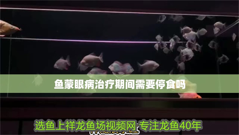 魚蒙眼病治療期間需要停食嗎