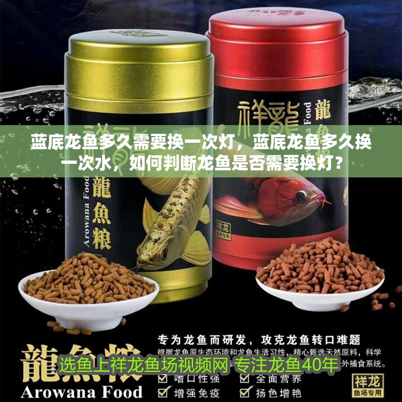 藍(lán)底龍魚多久需要換一次燈，藍(lán)底龍魚多久換一次水，如何判斷龍魚是否需要換燈？