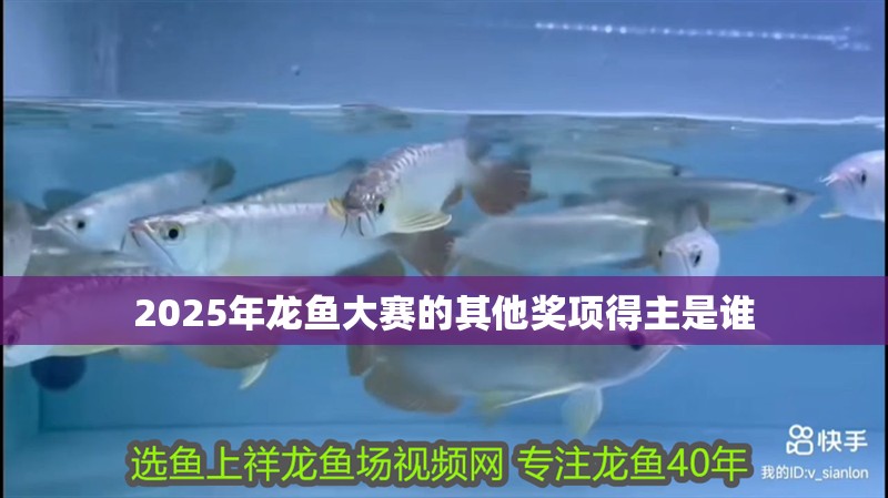 2025年龍魚大賽的其他獎項得主是誰