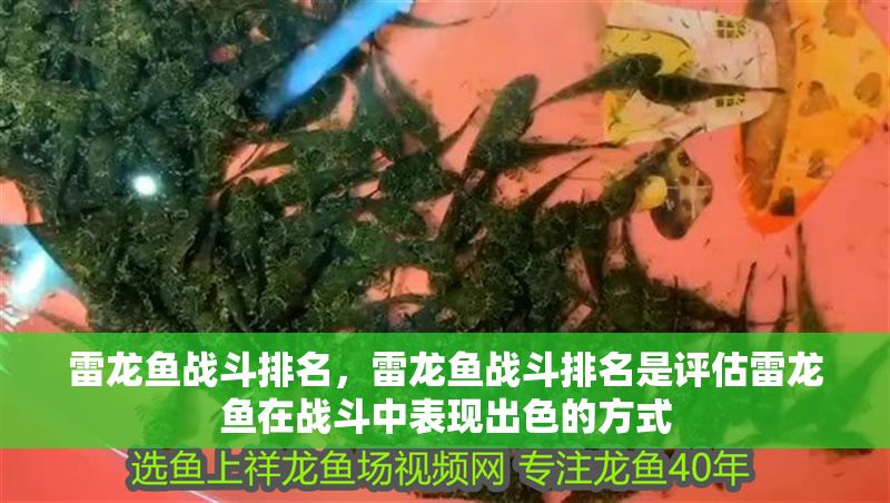 雷龍魚戰(zhàn)斗排名，雷龍魚戰(zhàn)斗排名是評估雷龍魚在戰(zhàn)斗中表現(xiàn)出色的方式