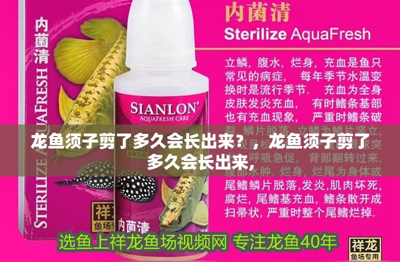 龍魚須子剪了多久會長出來？，龍魚須子剪了多久會長出來,
