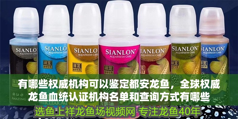 有哪些權威機構可以鑒定都安龍魚，全球權威龍魚血統認證機構名單和查詢方式有哪些