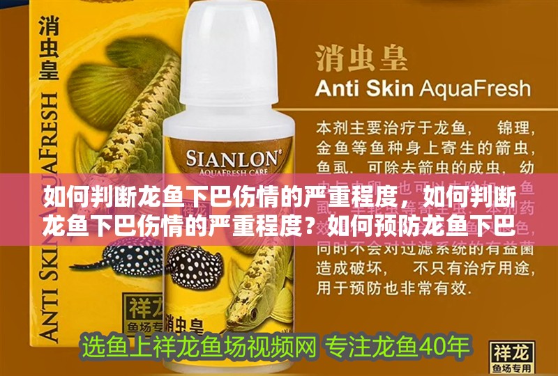 如何判斷龍魚下巴傷情的嚴重程度，如何判斷龍魚下巴傷情的嚴重程度？如何預防龍魚下巴受傷？