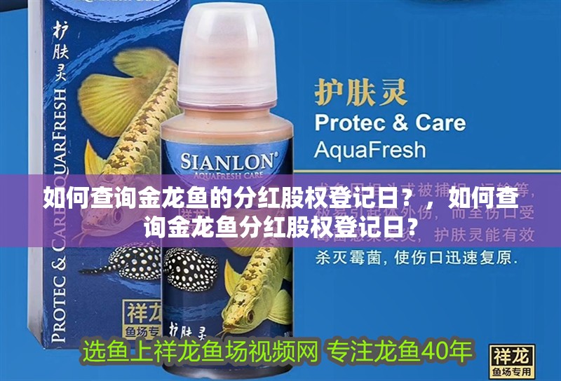 如何查詢金龍魚的分紅股權(quán)登記日？，如何查詢金龍魚分紅股權(quán)登記日？