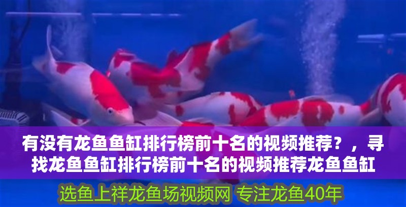 有沒有龍魚魚缸排行榜前十名的視頻推薦？，尋找龍魚魚缸排行榜前十名的視頻推薦龍魚魚缸排行榜前十名
