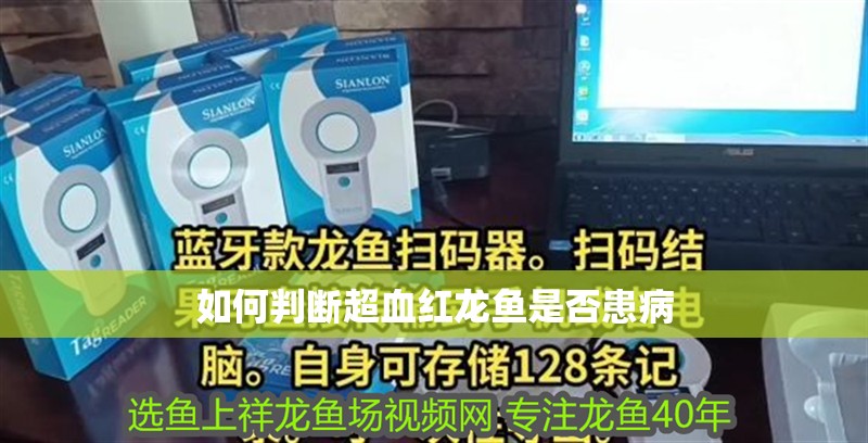如何判斷超血紅龍魚是否患病