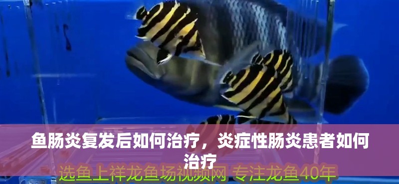 魚腸炎復發后如何治療，炎癥性腸炎患者如何治療