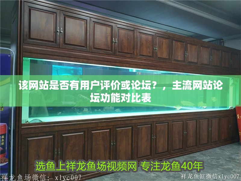 該網站是否有用戶評價或論壇？，主流網站論壇功能對比表