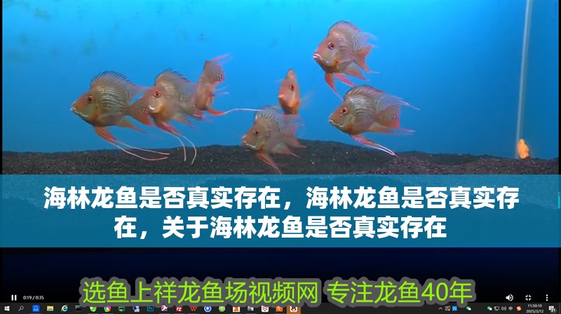 海林龍魚是否真實(shí)存在，海林龍魚是否真實(shí)存在，關(guān)于海林龍魚是否真實(shí)存在