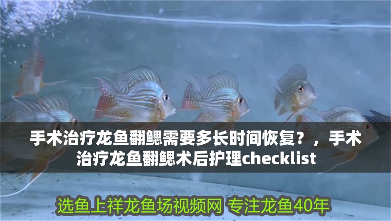 手術治療龍魚翻鰓需要多長時間恢復？，手術治療龍魚翻鰓術后護理checklist