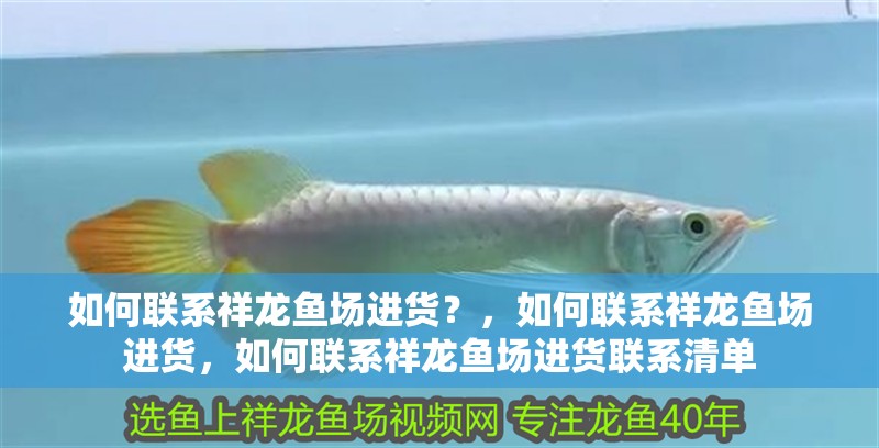 如何聯(lián)系祥龍魚場進(jìn)貨？，如何聯(lián)系祥龍魚場進(jìn)貨，如何聯(lián)系祥龍魚場進(jìn)貨聯(lián)系清單